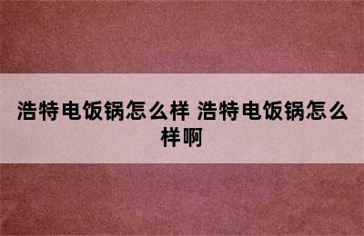 浩特电饭锅怎么样 浩特电饭锅怎么样啊